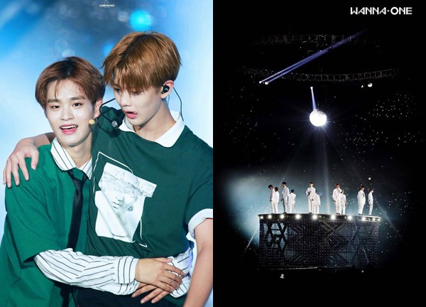 Wanna One tái hợp trong show sống còn sau 4 năm tan rã, fan hâm mộ "dở khóc dở cười"