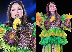 'Northwestern Owl' Huong Lan announced that she would stop singing on stage and did not like being called a post-mascot singer