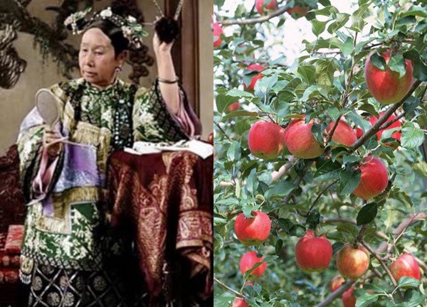 Revealin.g the reason why Empress Dowager Cixi uses 40,000kg of apples and more than 320,000 pears every year