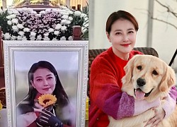 Chau Hai My's mother did not allow fans to visit, announced a private funeral, and apologized for one reason