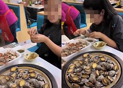 The girl was "scandalized" by the buffet restaurant owner for eating all 100 abalone, the reaction of the fans was surprising