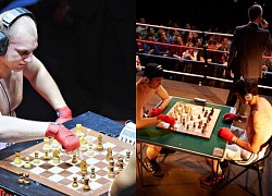 Chess Boxing - a sport that combines brain and physical strength