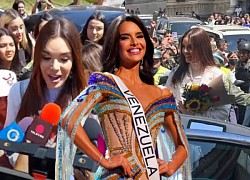 Miss Universe Venezuela về nước bị "ghẻ lạnh": Không đăng quang Hoa hậu quá oan uổng?