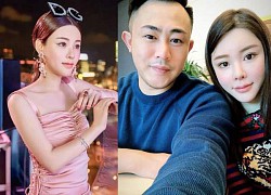 Thái Thiên Phượng: Mỹ nhân "quyền lực" trong showbiz xứ Hương Cảng và sự ra đi đầy nước mắt