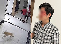 The free dog case: The dog owner was officially prosecuted after the challenge?