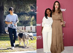 Angelina Jolie cưng chiều con gái nuôi Zahara, Pax Thiên ra rìa, thường xuyên làm điều này 1 mình