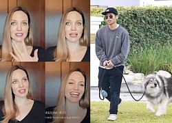 Pax Thien suddenly revealed full of grief, Angelina Jolie was suddenly &quot;slapped&quot; by ex-wife Brad Pitt 