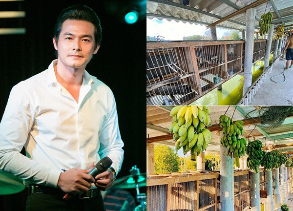 Nguyên nhân Quách Ngọc Ngoan vỡ nợ: Đầu tư tiền tỷ làm trang trại