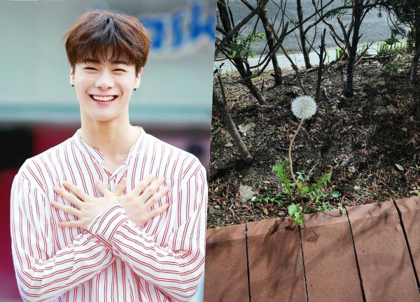 Moonbin gặp vấn đề sức khỏe từ 10 ngày trước khi qua đời, để lại cho fan thông điệp ẩn ý về sự ra đi