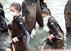 HH Ngoc Chau and the beauties accompanied the Green Aspiration group to clean up garbage in a dirty canal in Tan Binh