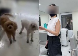 The tenant opens a salon, accuses the owner of letting the dog defecate, barking loudly, giving suggestions, then playing a hooligan