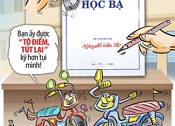 Làm đẹp học bạ: Xạo với nhân gian một điểm mười