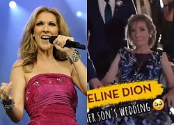 Celine Dion is disabled, in a wheelchair after declaring a terminal illness, what is the truth behind?