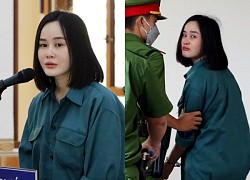 "Anna Bac Giang" made a shocking act between the court and the "benefactor", burst into tears and was sentenced to 11 years in prison