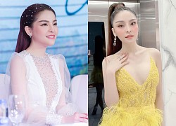 Saka Truong Tuyen: "Queen of fairs" collapsed because of her brother Vu Luan's divorce and how is life going?