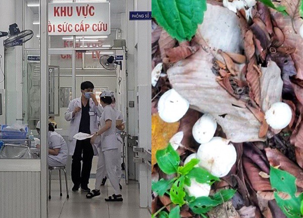 The case of the whole family in Tay Ninh being hospitalized after a meal: Father has passed away, mother is in critical condition, revealin.g a fateful meal