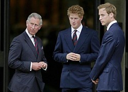 Meghan appeared tense after Prince Harry was bullied by King Charles, Dior came to the rescue?