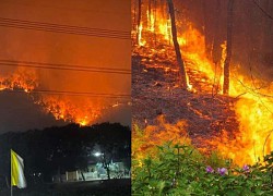 More than 700 people cooperated to put out a big fire in Nghe An