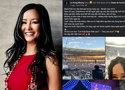 Diva Hong Nhung swings at the Blackpink concert, commented on the shocking thing about YG's pet chicken, what did the fans say?