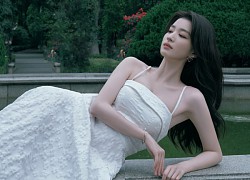 Yang Yang's girlfriend "plotted" according to the netizen, revived her reputation, determined not to lose to her seniors