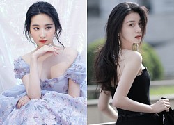 How "top" was Liu Yefei's youthful beauty that Wang Chu Chen was only worth "carrying sandals"?