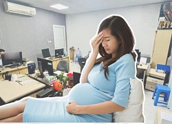 Receiving 6 months of maternity salary, pregnant women are insulted by male colleagues: Deliberately having children late to receive high money