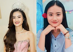 Hoa hậu Ý Nhi nên vui mừng vì còn 1 chiếc phao cứu sinh để trở lại showbiz?