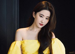 that Liu Yifei publicly announced that his daughter was a single mother, and that her father was Zhao Liying's "ex-love"?