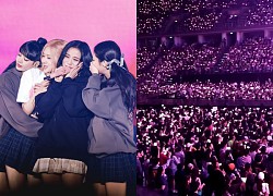 BLACKPINK đứng trước nguy cơ tan rã BLINK đã vội "làm càn", netizen phẫn nộ: "Cố chứng tỏ điều gì?"