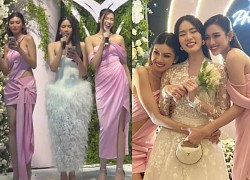 Do Ha - Ngoc Thao pulled together factions to 'destroy the sound' at Phuong Anh's wedding, the fans simultaneously rose up