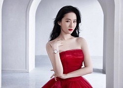 Liu Yifei "overwhelmed" Duong Mich and Trieu Le Dinh, the top class 85-year-old flower girl is difficult to overthrow for one reason.