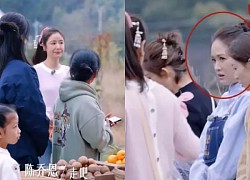 Chen Qiaoyin glanced at Lin Chen, competing little by little, pretending to be friendly?