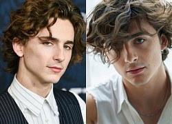 Timothée Chalamet: Once missed the role of Spider Man, now the Little Prince of Hollywood