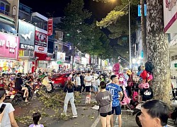 A man sitting on the sidewalk selling goods was hit on the head by a falling tree branch and died tragically