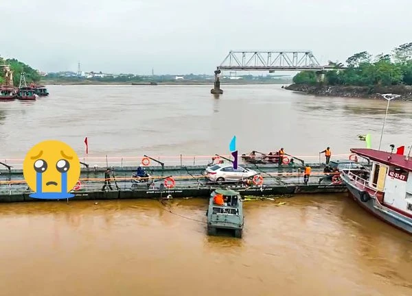 Cầu phao Phong Châu: tạm dừng hoạt động, nguyên nhân khiến CĐM lo 'sốt vó'