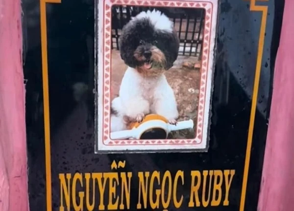 Tranh cãi việc gia đình lập mộ cho chú chó, khắc tên bia mộ theo họ của người nuôi