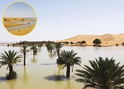 50 years of drought in the desert, suddenly flooded due to a supernatural factor