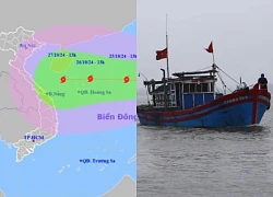 Storm Trami heads straight for the Central region, Quang Ninh to Binh Thuan proactively respond