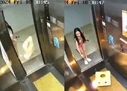 Woman who burned flammable materials and threw them into an apartment elevator was invited to work.