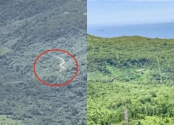 Catching up with the huge "cloud cobra" in the middle of the viral mountain in Vietnam, the world is also curious