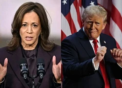 Kamala Harris called to congratulate Mr. Trump, admitted defeat, comforted by Mr. Biden