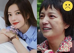 Zhao Wei 'doubled' to appear in 400 courts at once, with the same serious crime, Cbiz shook its head?