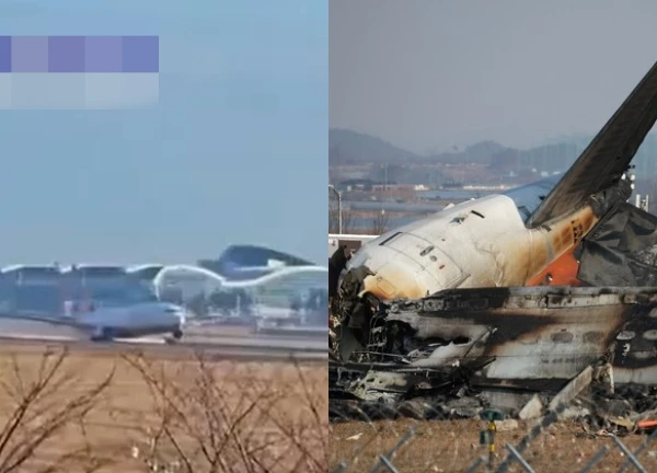 Jeju Air plane crash: Cause not collision with bird, is there something fishy?