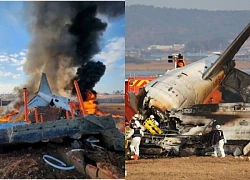 Finding the indirect cause of the Jeju plane crash, the Government tried to cover up the truth?