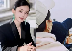 Trieu Le Dinh lets her son meet his new lover, determined to get married before Phung Thieu Phong?