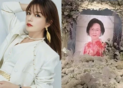 Zhao Wei encountered trouble after Quynh Dao's funeral, no way to return, causing trouble for a male star?