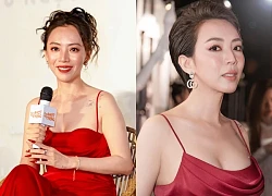 Thu Trang: Từng bị mỉa kém sắc nay là 'đối thủ Trấn Thành', có gia thế cực khủng