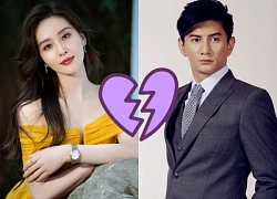 Liu Thi Thi broke up with Ngo Ky Long a long time ago, more shocking news revealed, because of her mother-in-law?