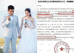 Liu Thi Thi "slaps" Chinese blogger in the face, releases official document about divorce rumors