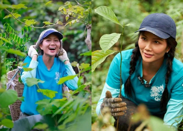 H'Hen Niê đáp trả khéo khi bị anti chê "góp có 85 triệu cũng đòi làm từ thiện"